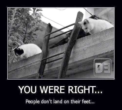 Cat - People Don't Land on Feet