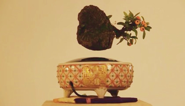 Levitating Bonsai, Smithsonian